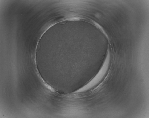 X0000070221194200605261310