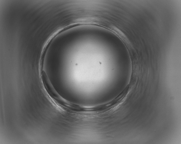X0000070221196200605261310