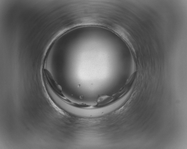 X0000070221197200605261310