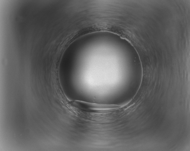 X0000070221201200605261309