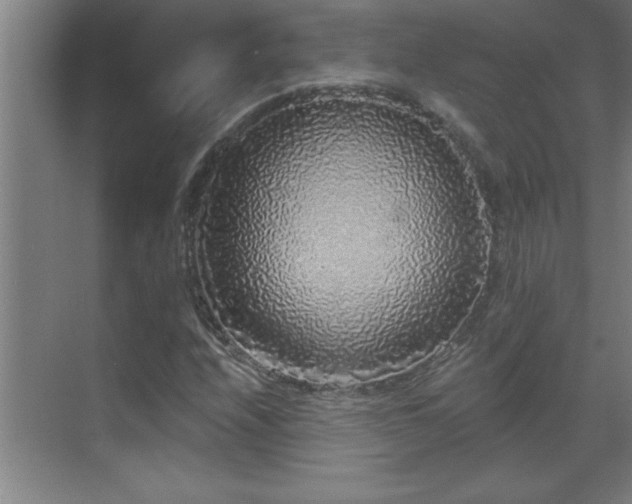 X0000070221208200605261309