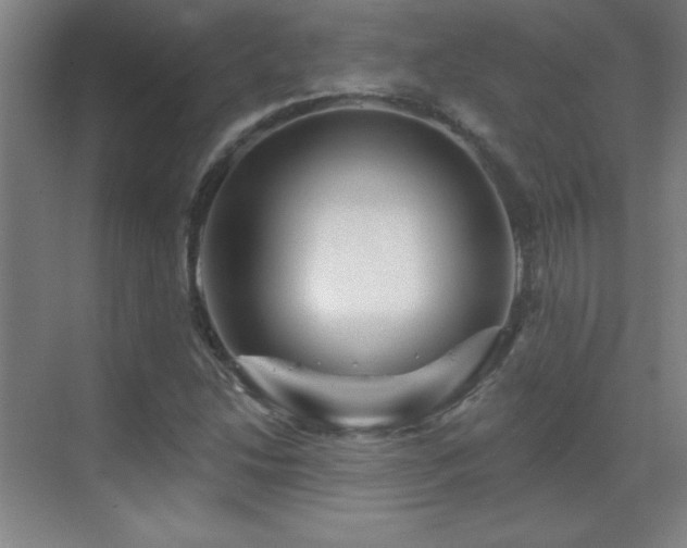 X0000070221214200605261309