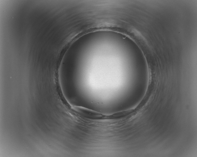 X0000070221217200605261309