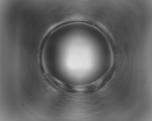 X0000070221222200605261309