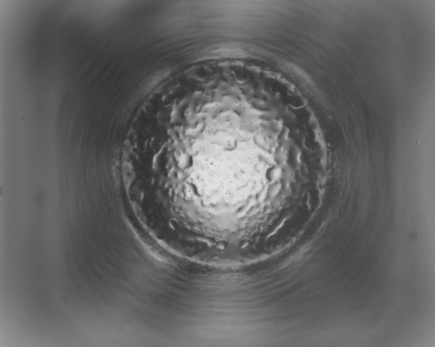 X0000070221225200605261309