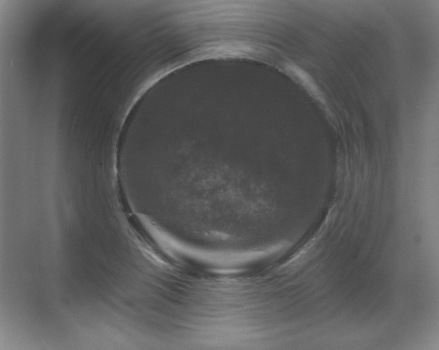 X0000070221226200605261309