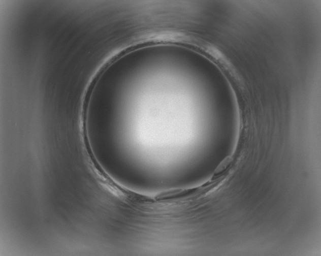 X0000070221232200605261309
