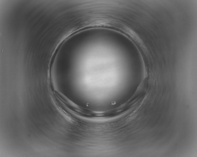 X0000070221234200605261309