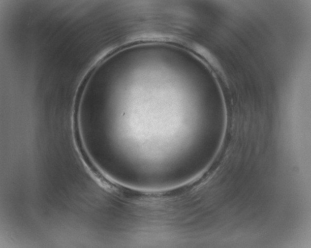 X0000070221237200605261309