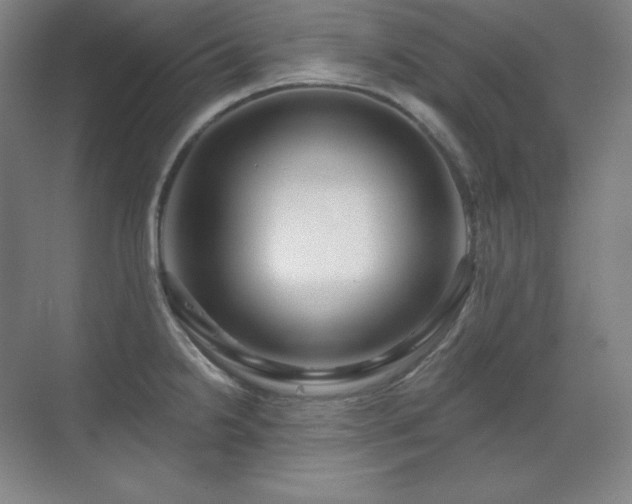 X0000070221238200605261309