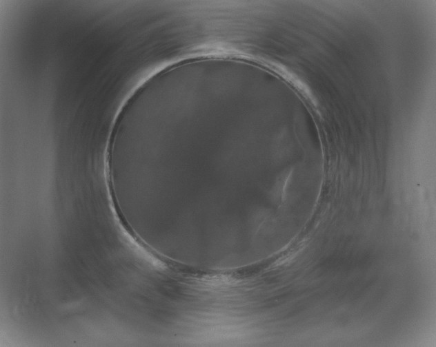 X0000070221239200605261309