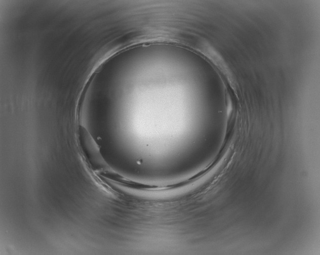 X0000070221242200605261309