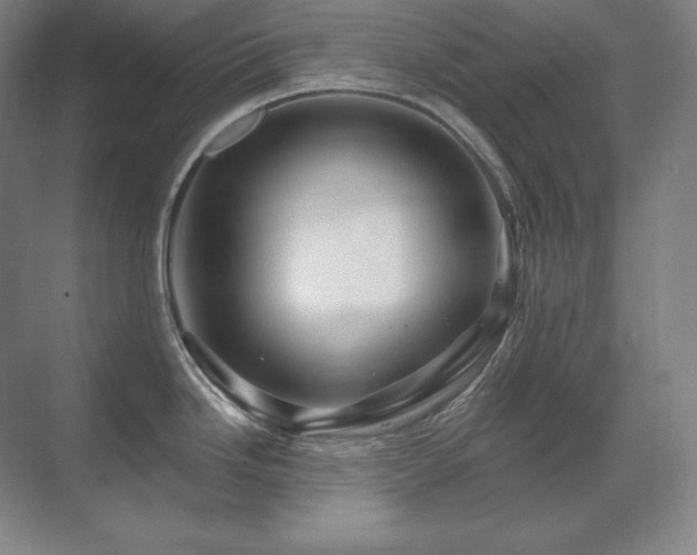 X0000070221246200605261310