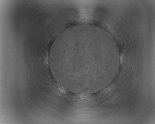 X0000070221251200605261309