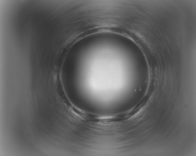 X0000070221257200605261309