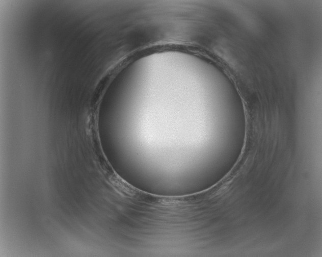 X0000070221258200605261309