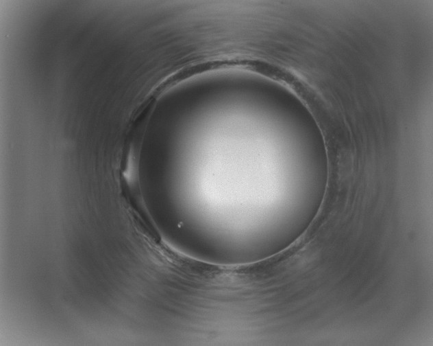 X0000070221265200605261309
