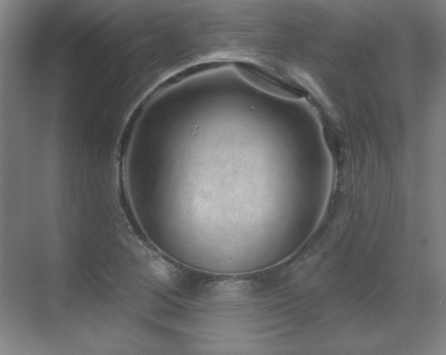 X0000070221268200605261308