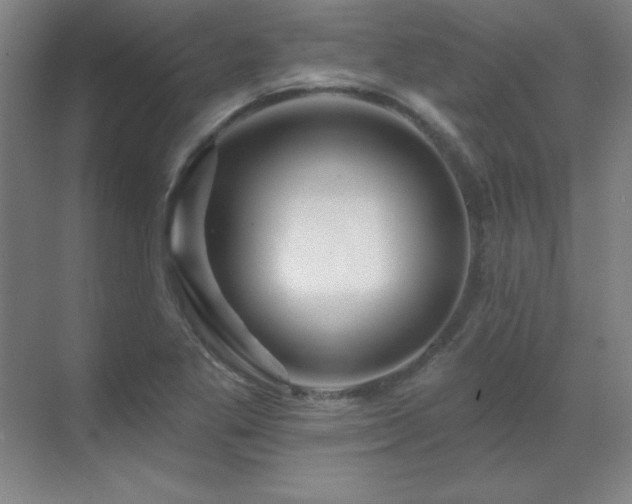 X0000070221269200605261308