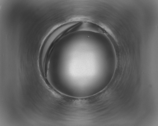X0000070221277200605261308