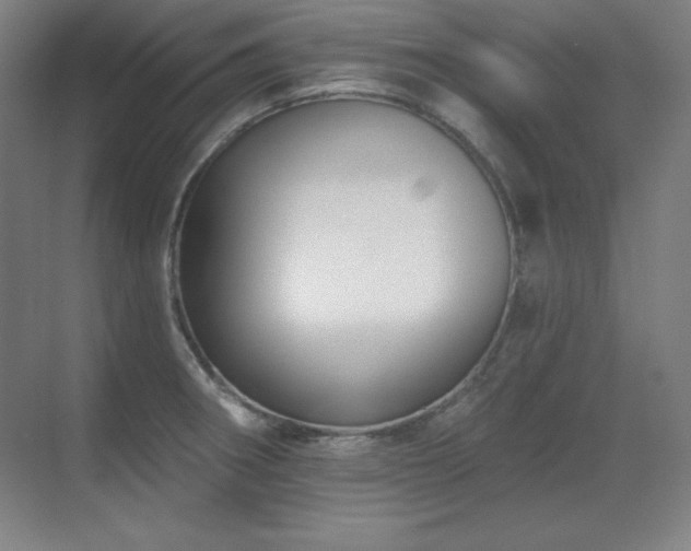 X0000070221282200605261308