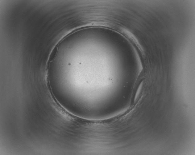 X0000070221284200605261308