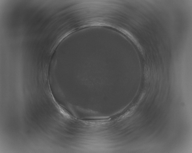 X0000070221289200605261308
