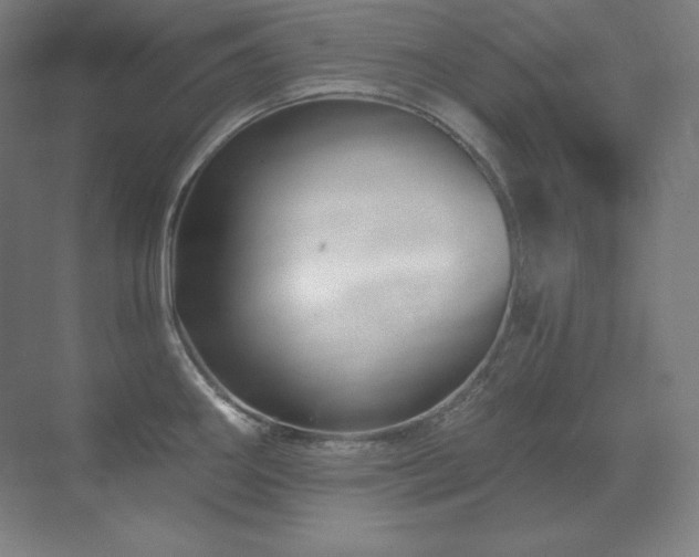 X0000070221290200605261308
