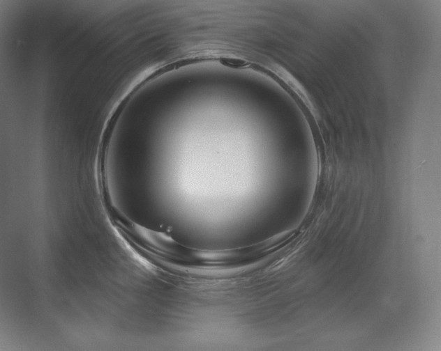 X0000070221293200605261308