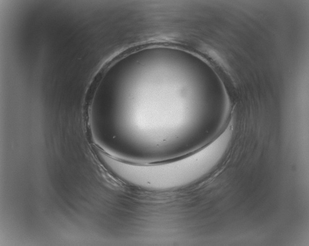 X0000070221308200605261307
