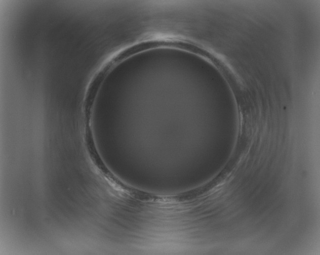 X0000070221319200605261308