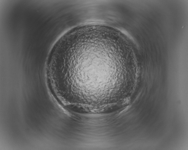 X0000070221325200605261308