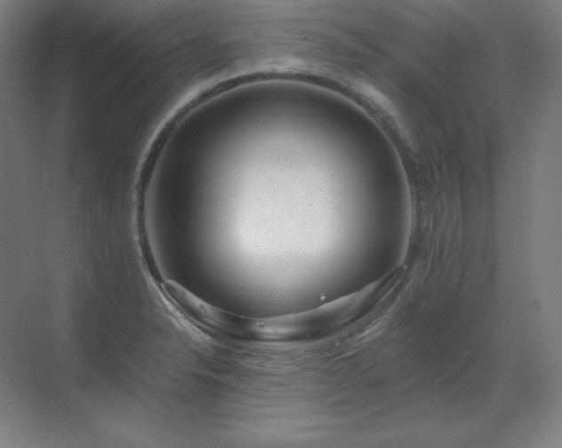 X0000070221326200605261308