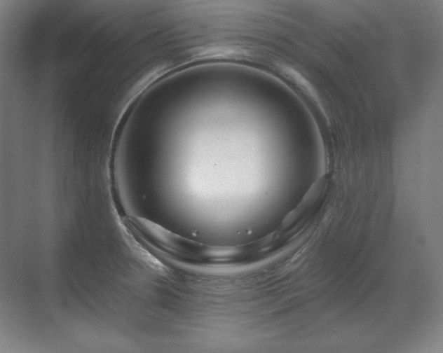 X0000070221330200605261308