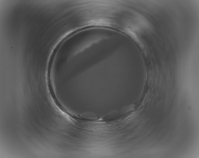 X0000070221331200605261308