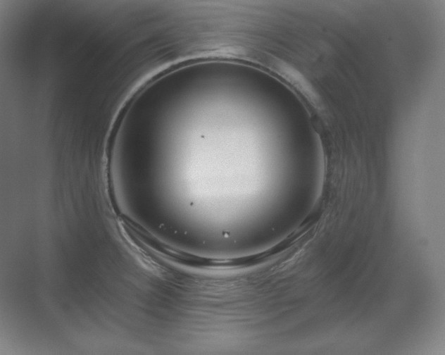 X0000070221332200605261308