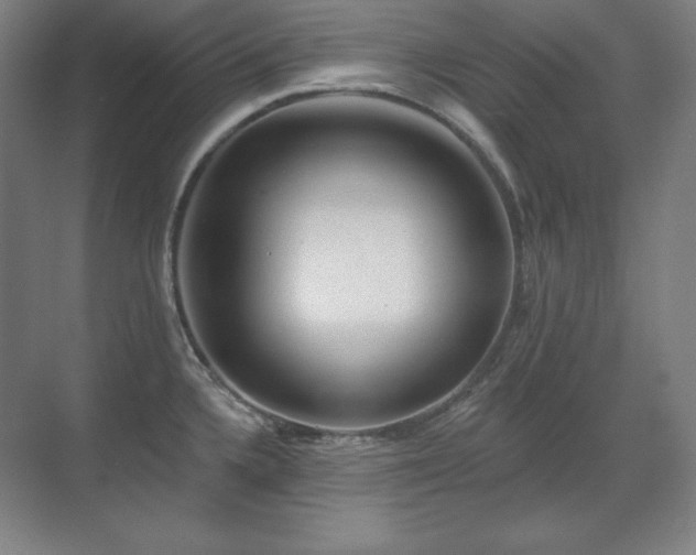 X0000070221336200605261308