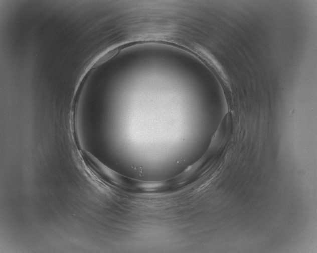 X0000070221340200605261308