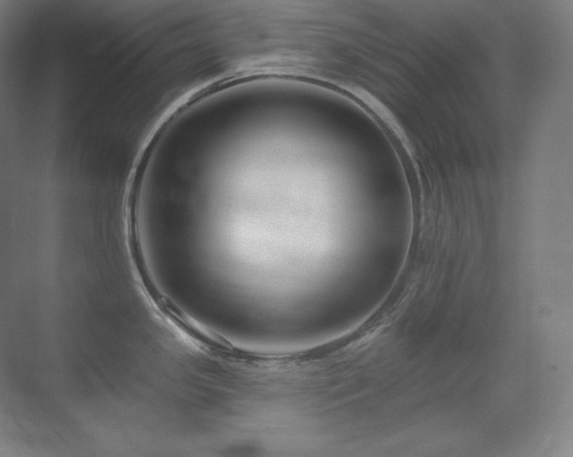 X0000070221341200605261308