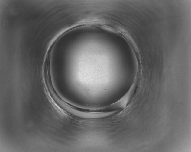 X0000070221344200605261308