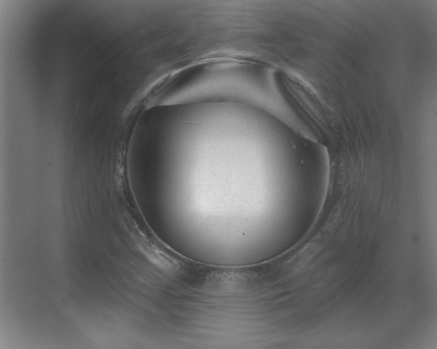 X0000070221355200605261307