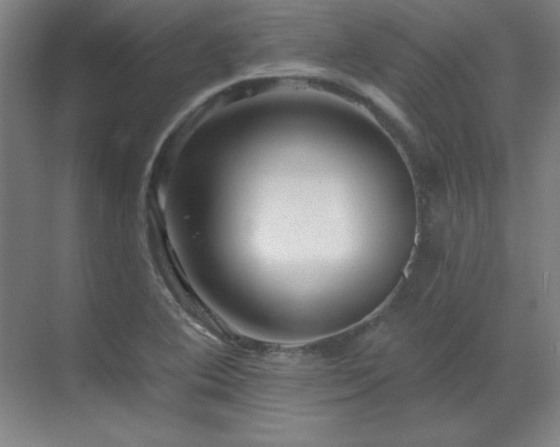 X0000070221364200605261307