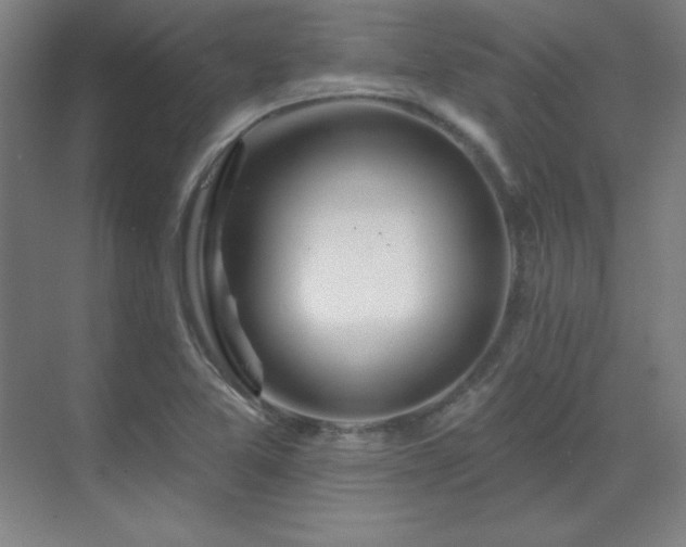 X0000070221365200605261307