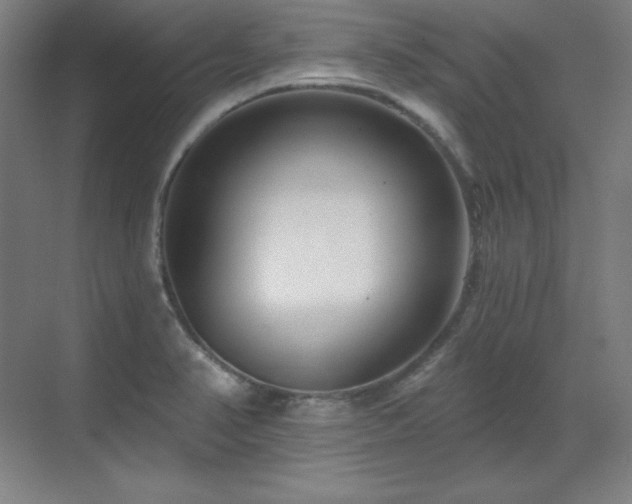X0000070221374200605261307