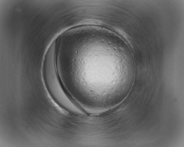 X0000070221379200605261307