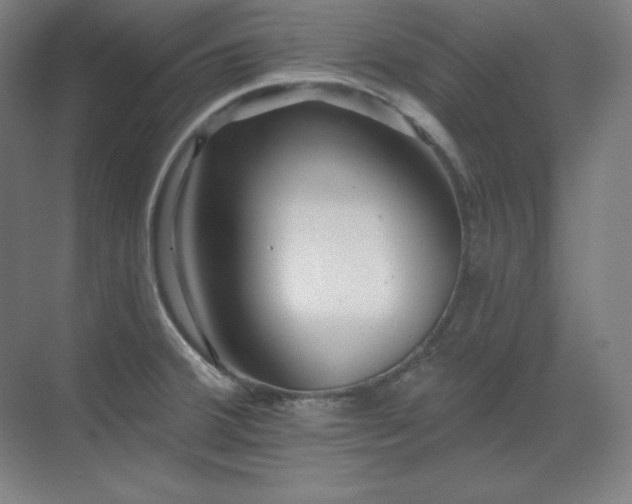 X0000070221380200605261307