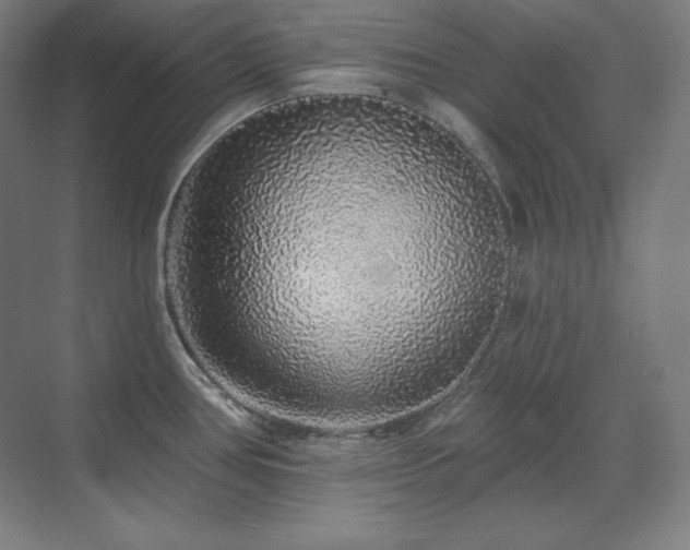 X0000070221386200605261306