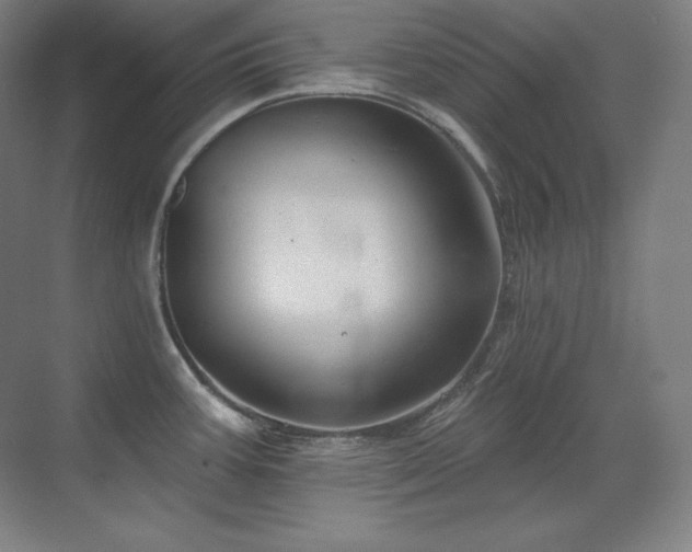 X0000070221387200605261306
