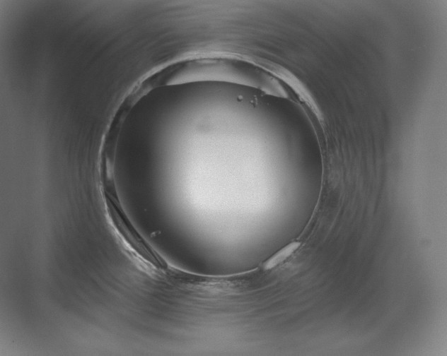 X0000070221388200605261306