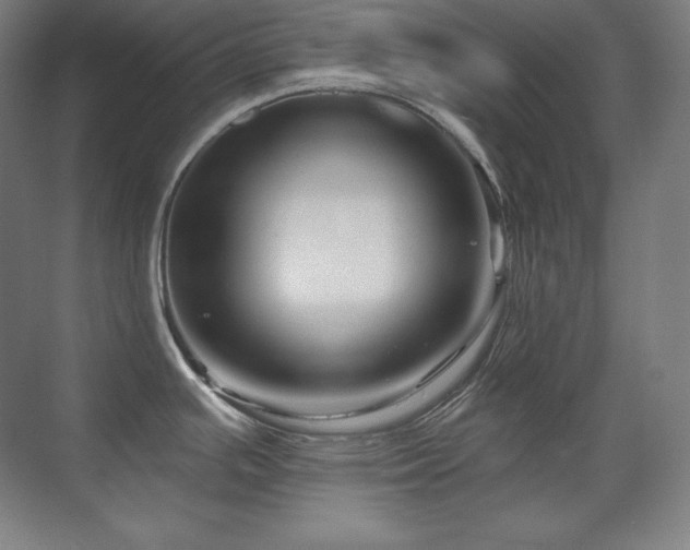 X0000070221391200605261306